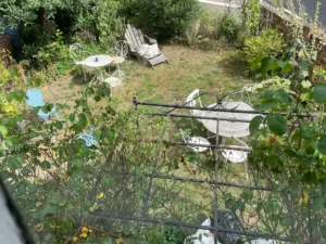 The Rose Room_garden view